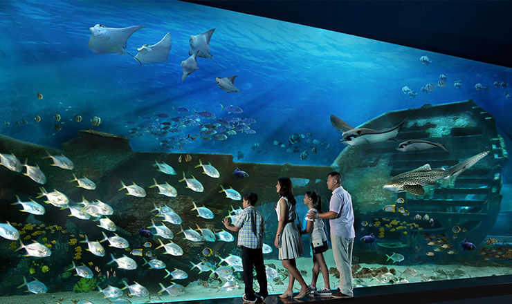 บัตรเข้าชมพิพิธภัณฑ์สัตว์น้ำ ซี อควาเรียม (S.E.A. Aquarium) ในเซ็นโตซ่า