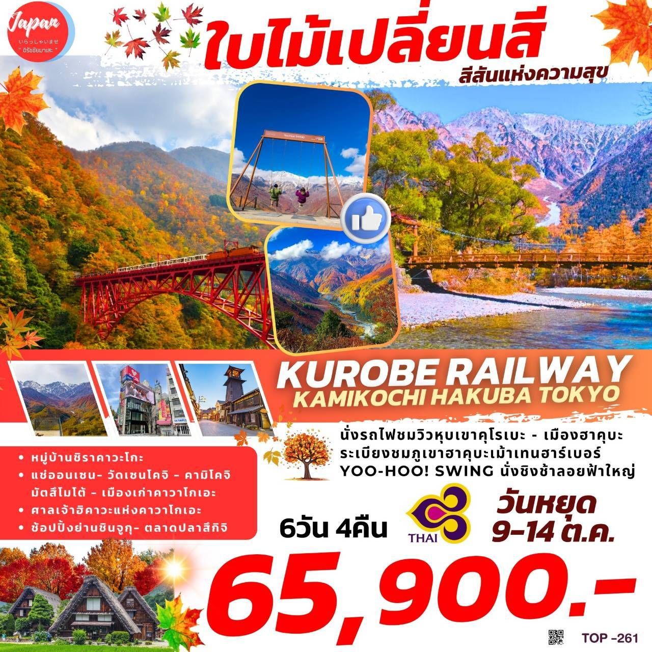 ทัวร์ญี่ปุ่น KUROBE RAILWAY KAMIKOCHI HAKUBA TOKYO 6วัน 4คืน (TG)