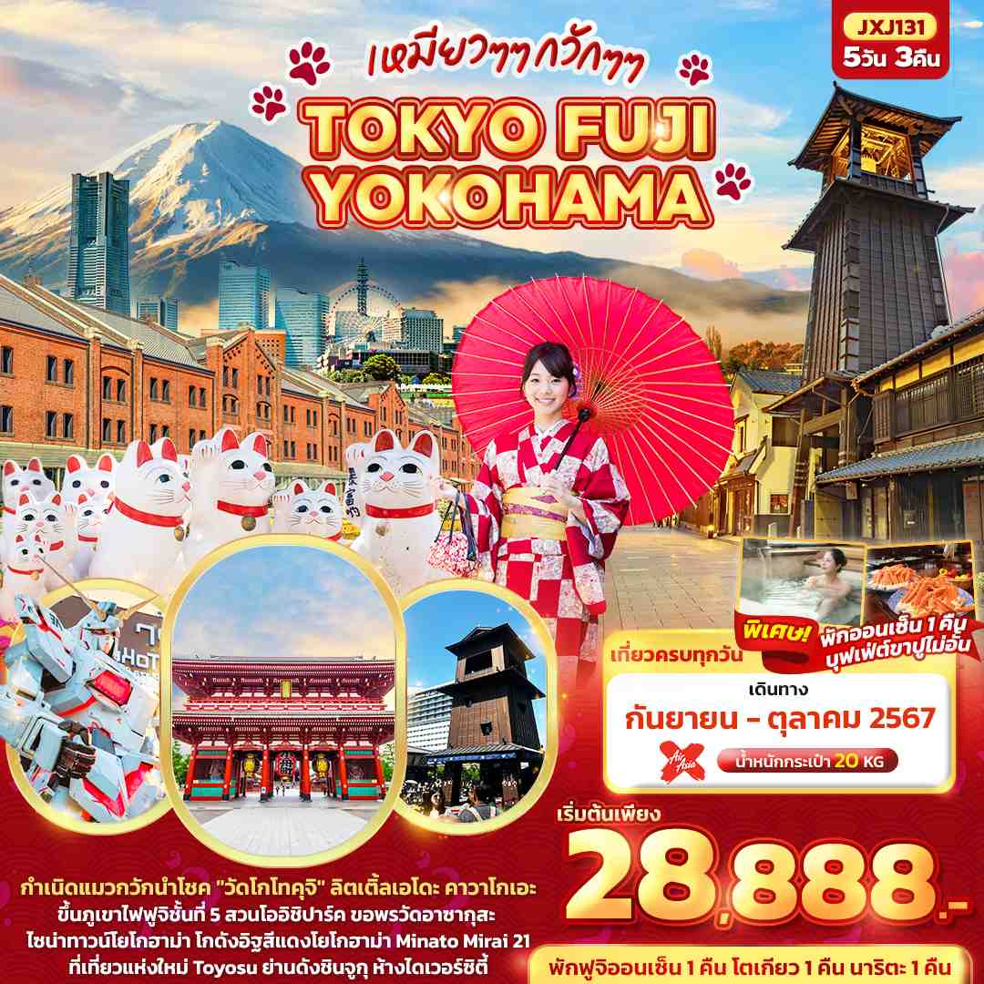 ทัวร์ญี่ปุ่น เหมียวๆๆ กวักๆๆ TOKYO FUJI YOKOHAMA 5วัน 3คืน (XJ)